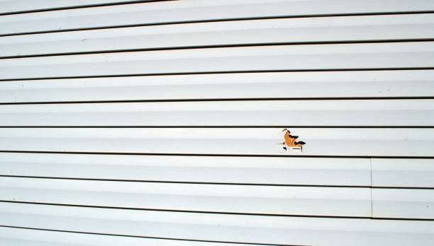Professional Siding Installation & Repair in Moorhead, MS