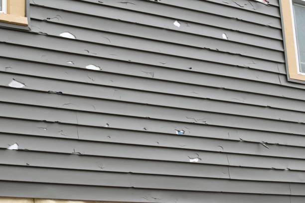 Best Fascia and Soffit Installation  in Moorhead, MS