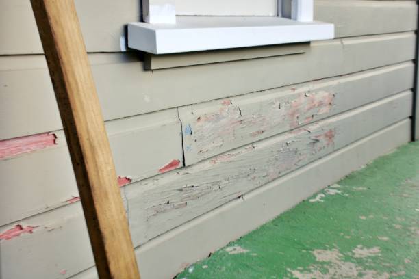 Best Wood Siding Installation  in Moorhead, MS